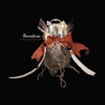 New Bowerbirds Album: The Clearing