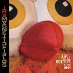 New Magnetic Fields Single,