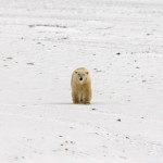 Freakin' Weekend: 1.15-1.17